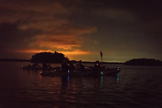 Bioluminescent Kayak Tour. Fin Expeditions Is Cocoa Beaches Top Rated Kayak Tour - Additional Details and Resources