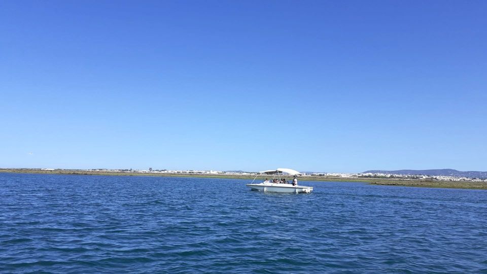 Birdwatching in Ria Formosa: Eco Boat Tour From Faro - Nature Exploration