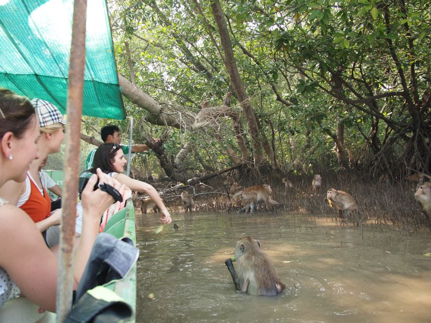 BKK :Meet Monkey, Mangrove Forest, Seafood& Market -Private - Pickup Information