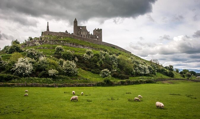 Blarney Castle & Rock of Cashel Private Car Trip From Dublin - Lunch Arrangements and Options