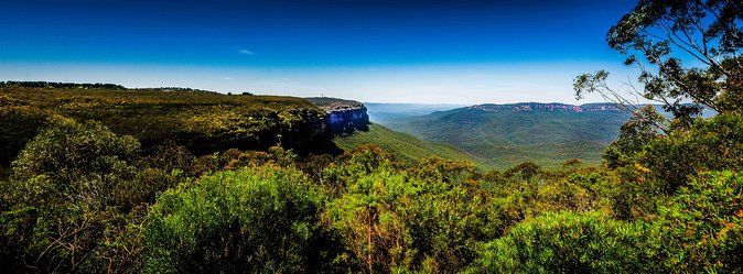 Blue Mountains Deluxe Small-Group Eco Wildlife Tour From Sydney - Cancellation Policy