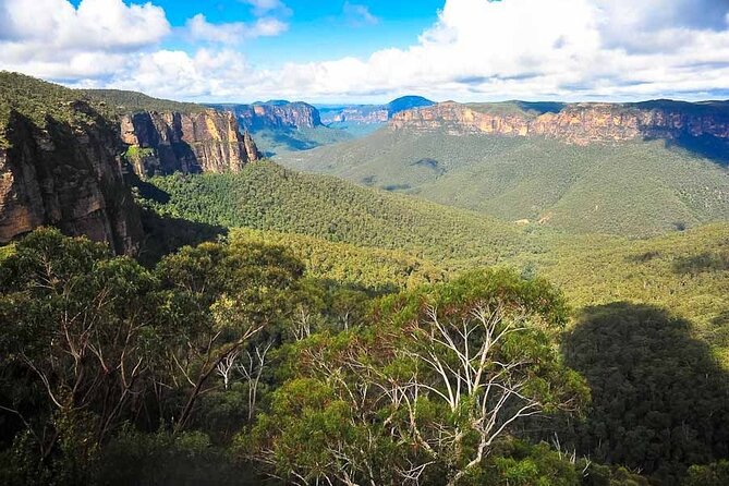 Blue Mountains Private Tour From Sydney - Customer Support