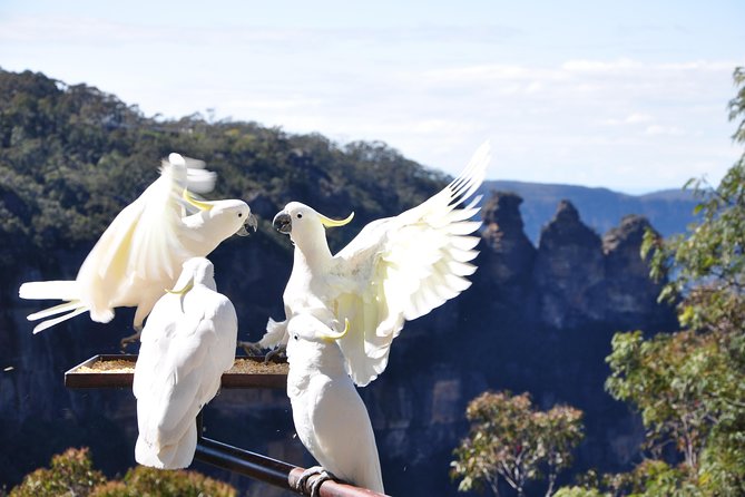 Blue Mountains Small-Group Tour From Sydney With Scenic World,Sydney Zoo & Ferry - Day Trip Experience and Highlights