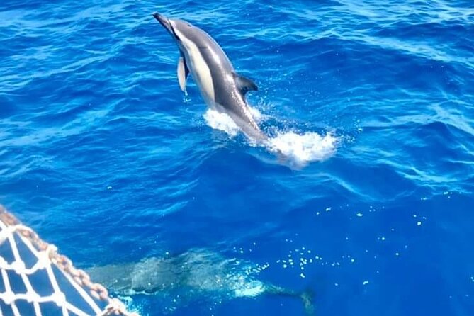 Boat Tour in Mondello Bay in Sicily - Traveler Reviews