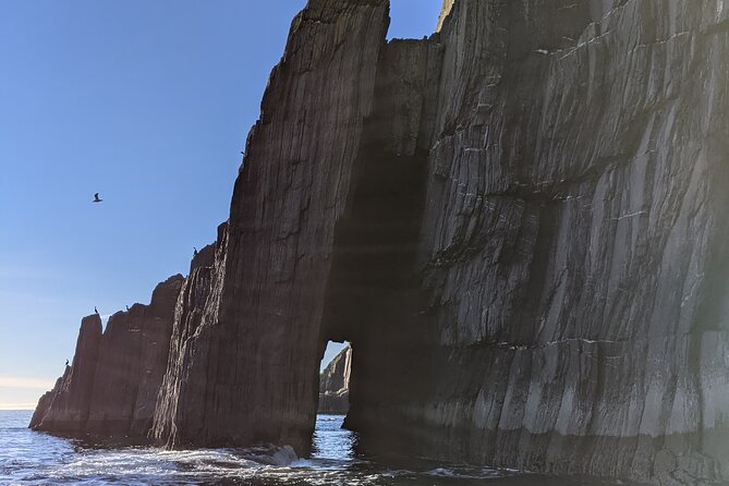 Boat Tour of Dingle Peninsula - Last Words