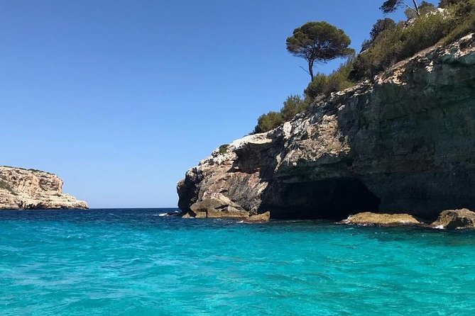 Boat Trip From Cala Figuera to Calo De Moro, Salmonia, Cala Màrmols. Mallorca. - Customer Experiences & Recommendations Highlight