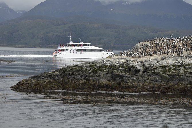 Boat Trip to the Penguin Colony on Martillo Island - Weather Considerations