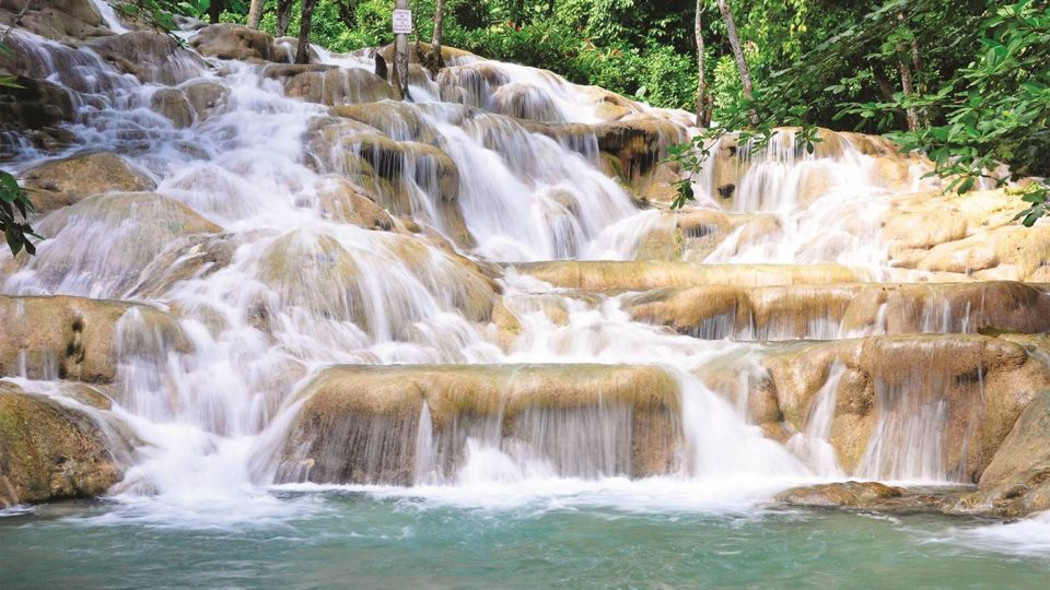 Bob Marley Birthplace and Dunn's River Falls Private Tour - Day Trip Option
