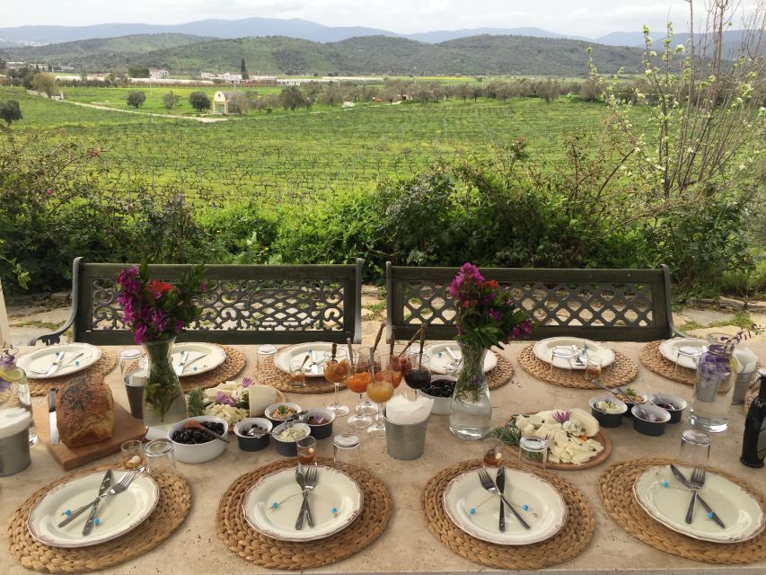 Bodrum Vineyard Tour With Dinner and Wine Pairing - Things to Do in Bodrum