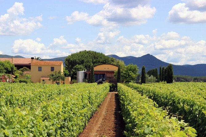 Bolgheri: Premium Wine Tasting With Winery Tour - Visitor Information
