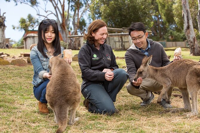 Bonorong Wildlife Park and Richmond Afternoon Tour From Hobart - Booking Information