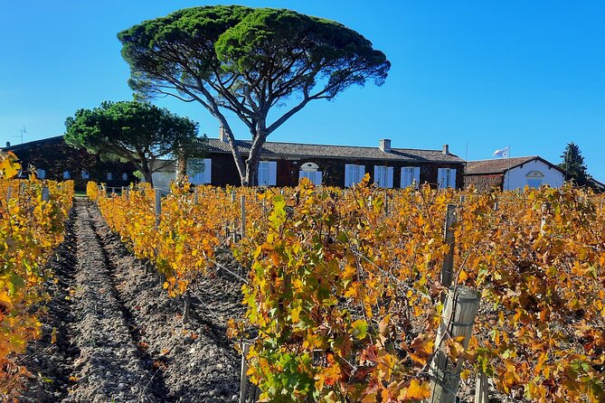 Bordeaux Médoc Region Private Wine Lovers Tour With Chateau Visits & Tastings - Pricing Details