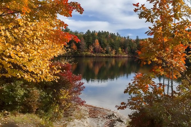 Boston to New Hampshire Fall Foliage White Mountains Day Trip - Highlights