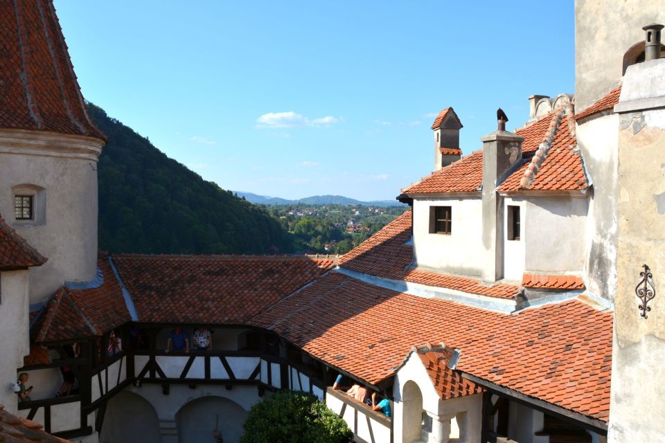 Bran: Guided Castle Tour - Tour Highlights