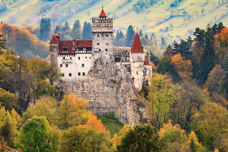 Bran: Private Guided Tour Dracula's Castle & Bear Sanctuary - Experience Inclusions