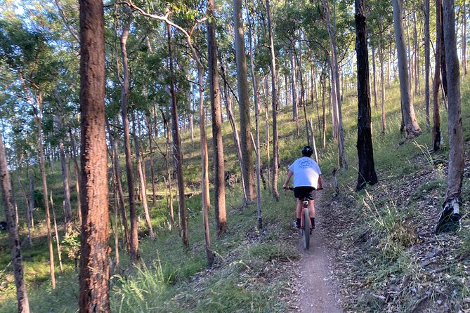 Brisbane Electric Mountain Bike Experience Tour - Tour Schedule