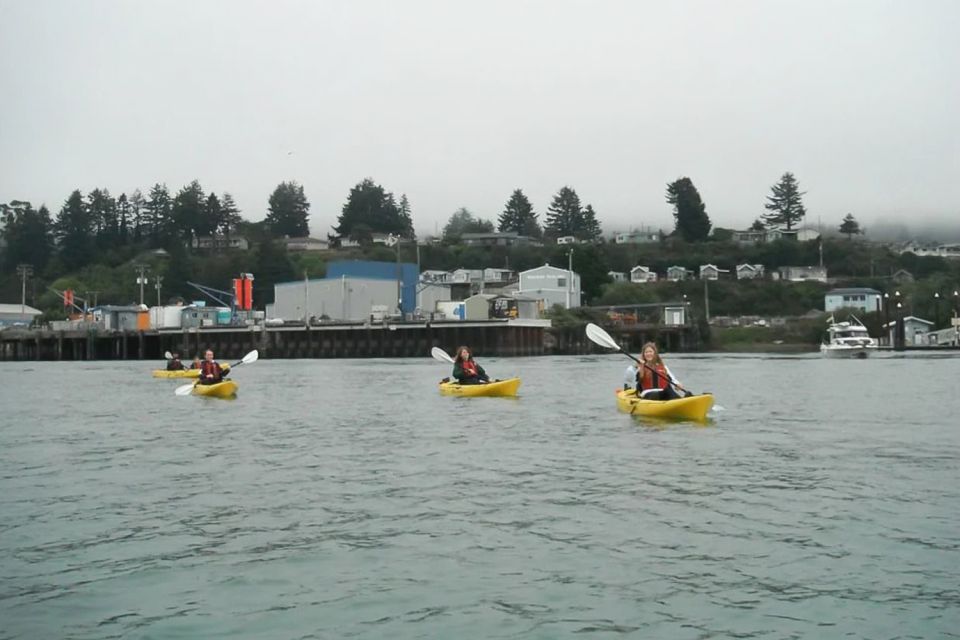 Brookings: Chetco River Kayak Tour - Cancellation Policy