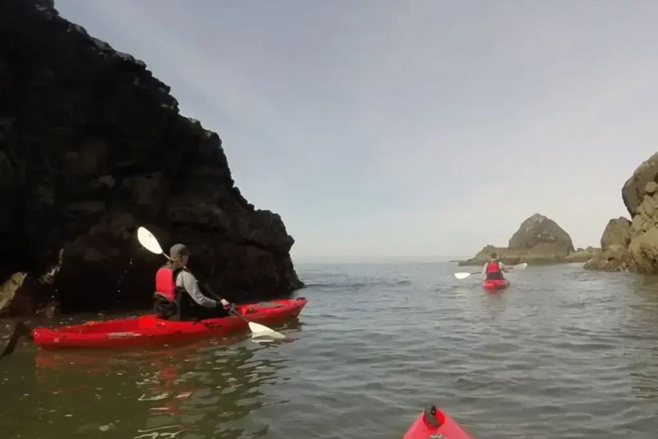 Brookings: Pacific Ocean Kayak Tour - Wildlife Spotting Opportunities