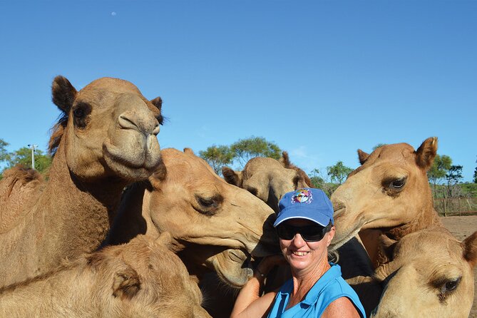 Broome Pre-Sunset Camel Tour 30 Minutes - Inclusions and Perks