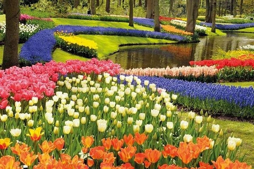 Brussels: Keukenhof, Tulips, and Delft Day Trip - Common questions