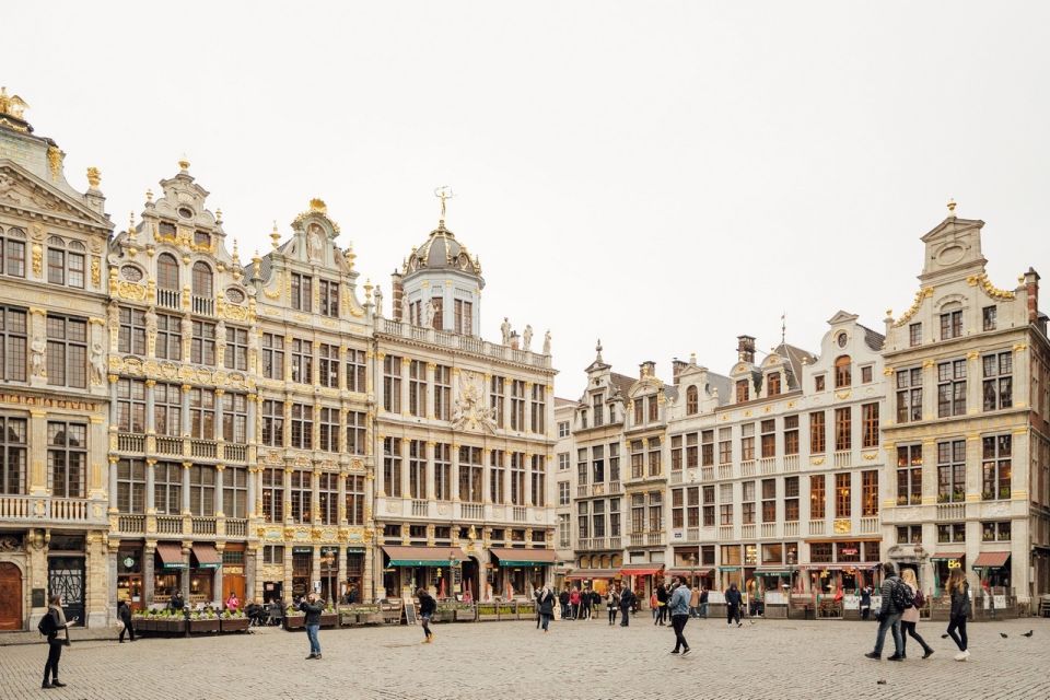 Brussels: Private Guided Tour - Vehicle and Guide Information