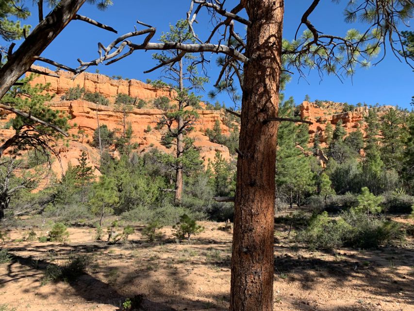 Bryce Canyon City: Red Canyon Horse Riding Day Trip W/ Lunch - Meeting Point and Logistics