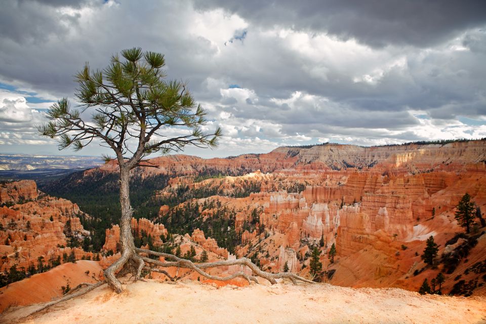 Bryce Canyon National Park: Guided ATV/RZR Tour - Customer Reviews