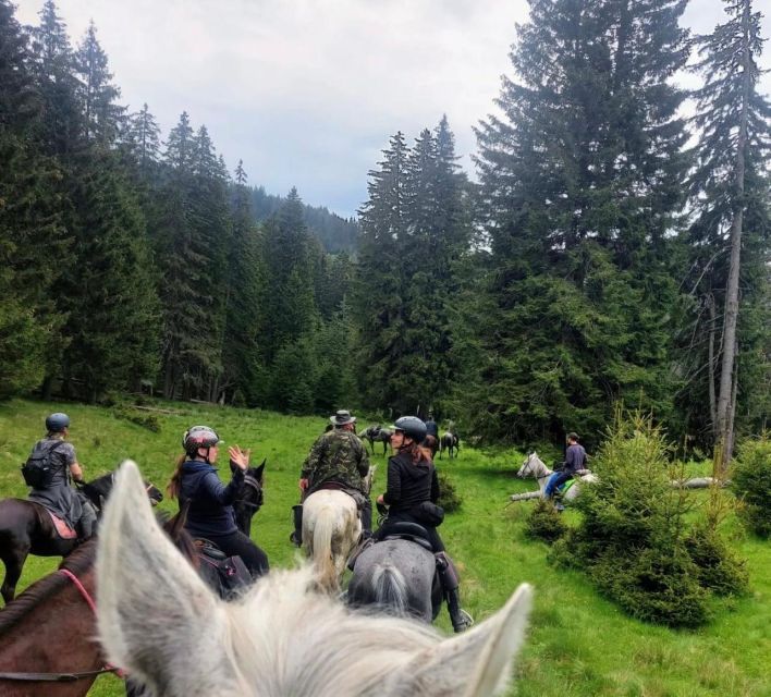 Bucharest: Horseback In the Nature and Traditional Lunch - Grouping and Safety Measures