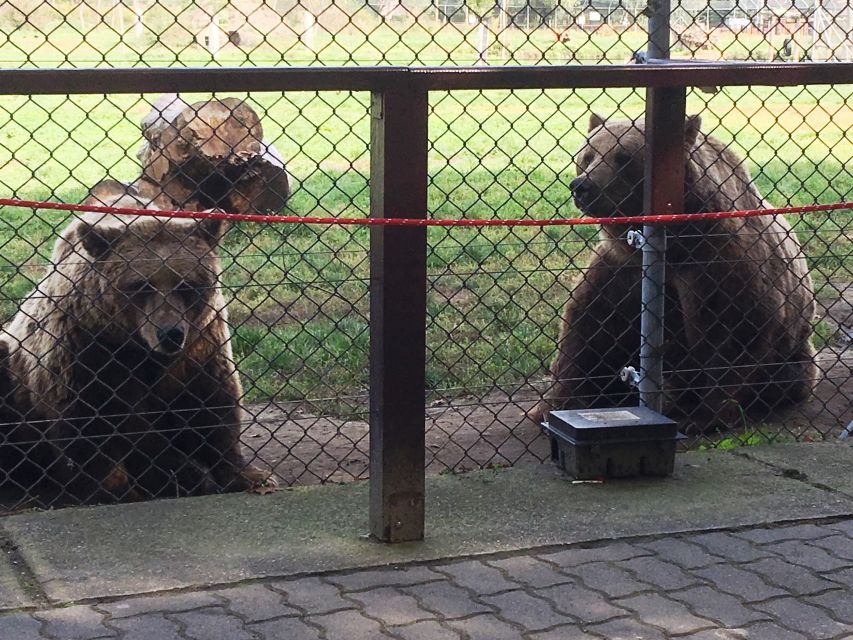 Budapest: Transport & Guided Tour of Bear and Wolf Sanctuary - Selecting Participants and Date