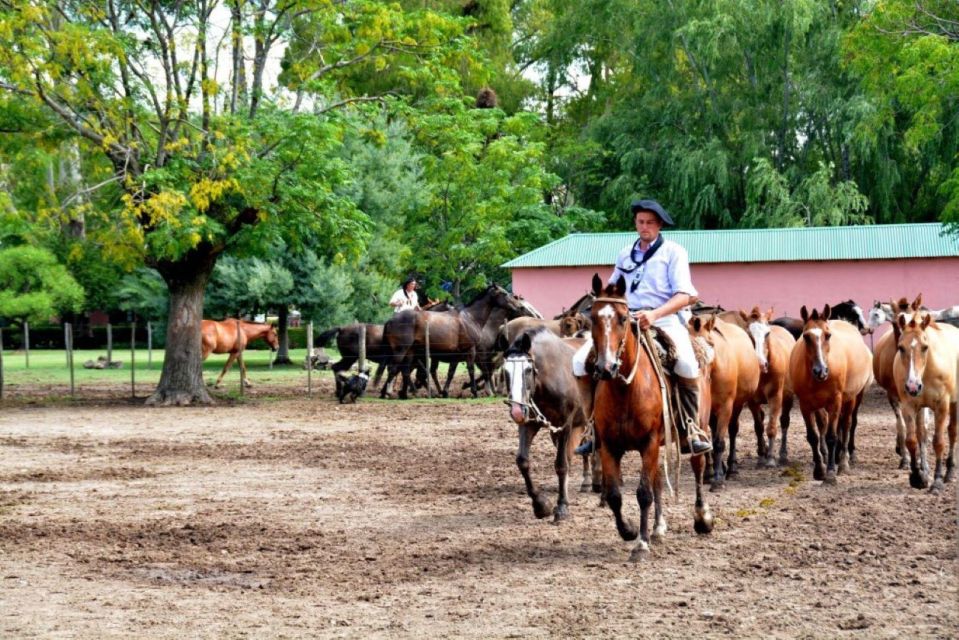 Buenos Aires: Santa Susana Ranch Day Tour, BBQ & Shows - Additional Information