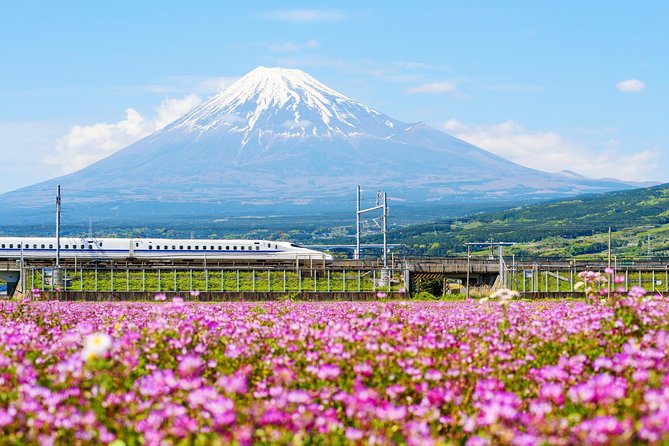 Bullet Train and Mt. Fuji Famous Food Tour - Local Gastronomic Exploration