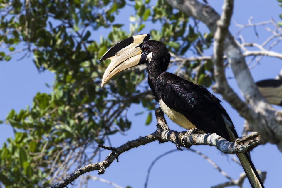 Bundala National Park Safari - Birding Paradise Tour - Reviews From Participants