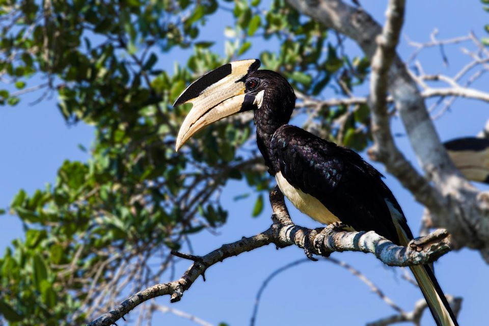 Bundala National Park Safari Tour - Safari in Golden Hours - Golden Hour Photography