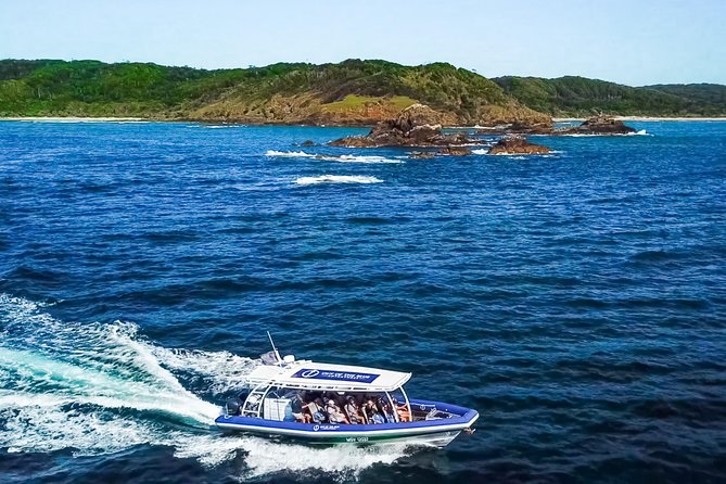 Byron Bay Dolphin Tour - Ocean Safari - Expectations and Guidelines