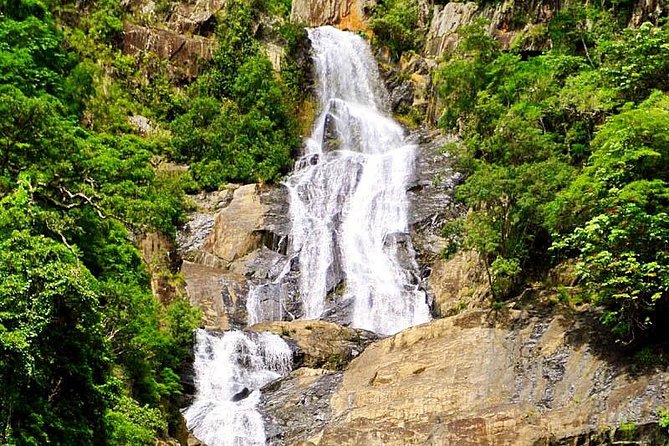 Cairns Private Barron Gorge National Park Tour - Cairns & The Tropical ...