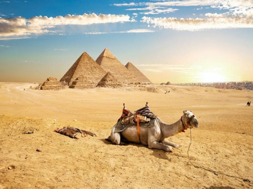 Cairo: Day Tour to Giza Pyramids, Sphinx, Sakkara & Dahshur - Tour Organizers