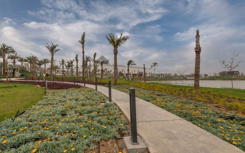 Cairo: National Museum, Egyptian Museum, and Citadel Tour - Lunch Experience