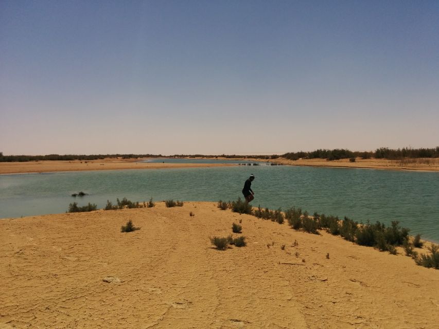 Cairo: Wadi El Ryan, El Fayoum Oasis & Bird Watching Tour - Customer Reviews