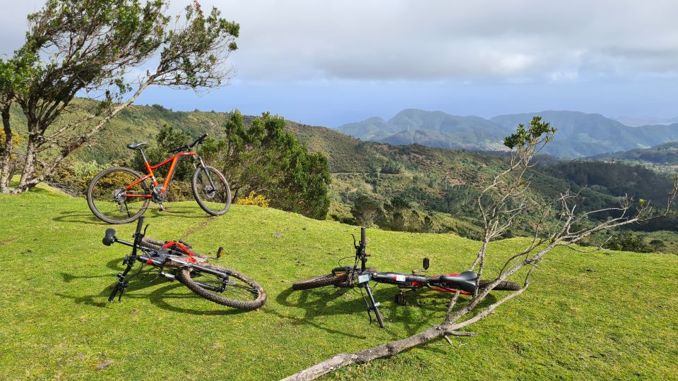 Camacha: Levada Trail E-Bike Guided Tour - Customer Reviews