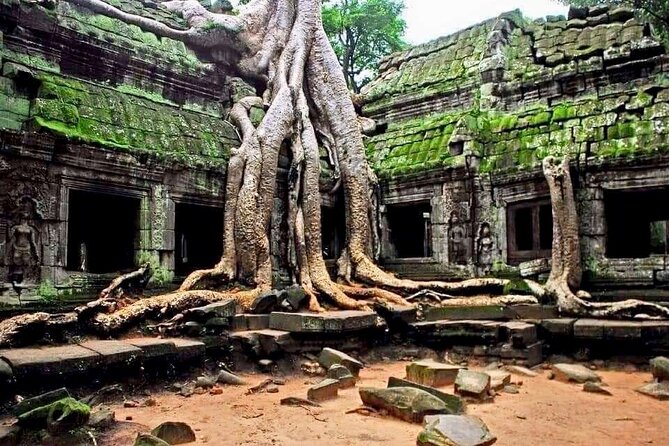 Cambodia Angkor Wat Full Day Tour  - Siem Reap - Reviews and Ratings