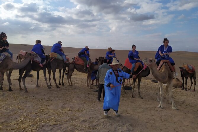 Camel Ride at the Palm Groves in Marrakech - Professional Inclusions Provided