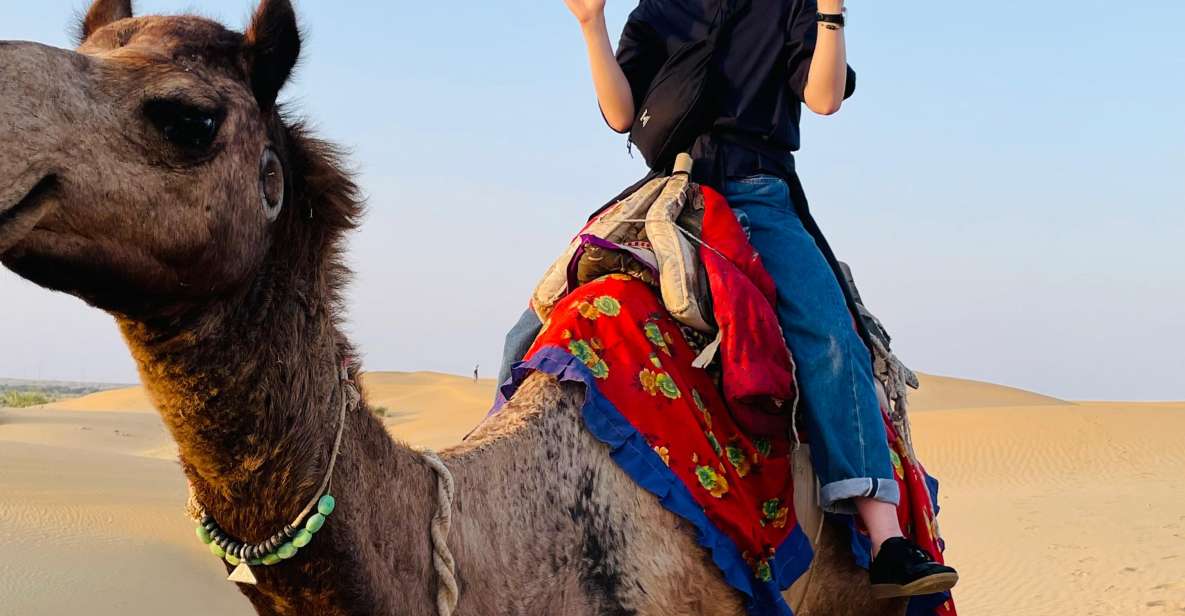 Camel Safari Half Day Desert Experience - Common questions