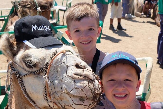 Camel Safari Through the Dunes of Maspalomas - Last Words