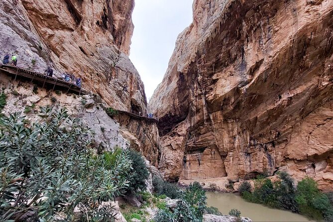 Caminito Del Rey With Pickup From Málaga City - Traveler Experiences