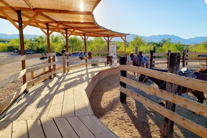 Camp Verde Small-Group Scenic Horseback Ride  - Flagstaff - Cancellation Policy Overview