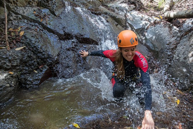Canyoning With Waterfalls in the Rainforest - Small Groups ツ - Customer Reviews and Testimonials