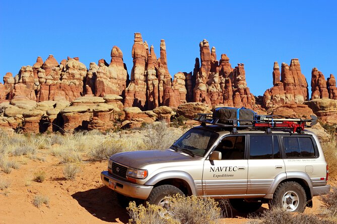 Canyonlands National Park Needles District by 4x4 - Traveler Experiences and Reviews