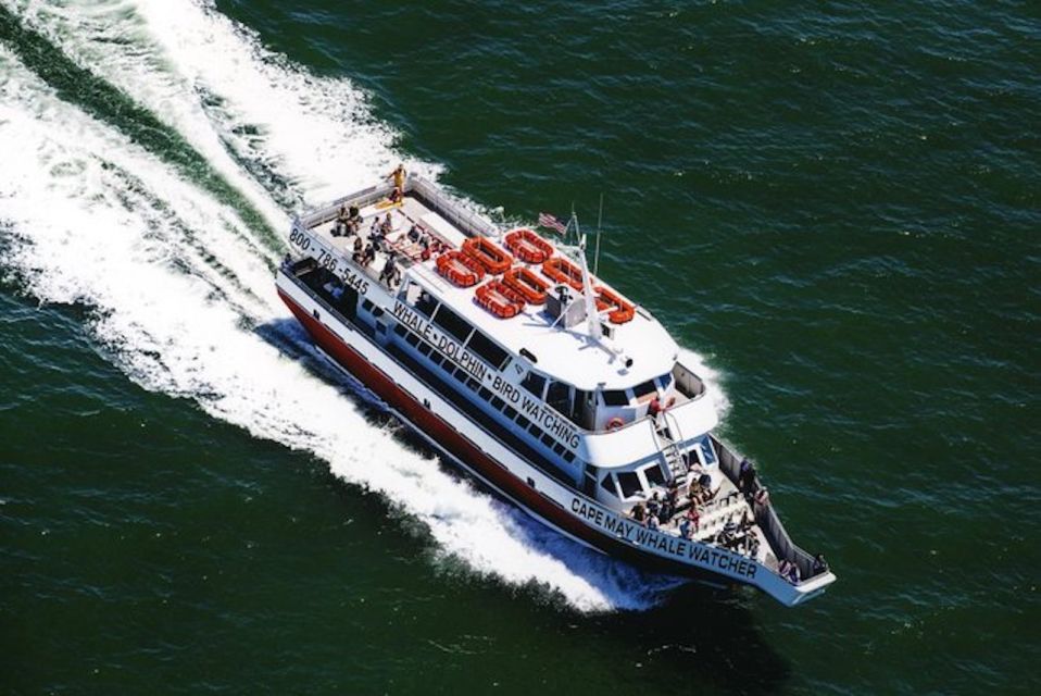 Cape May: Grand Lighthouse Cruise - Overall Experience