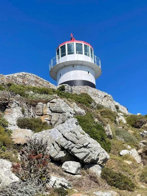 Cape of Good Hope & Penguins Private Tour - Customer Review