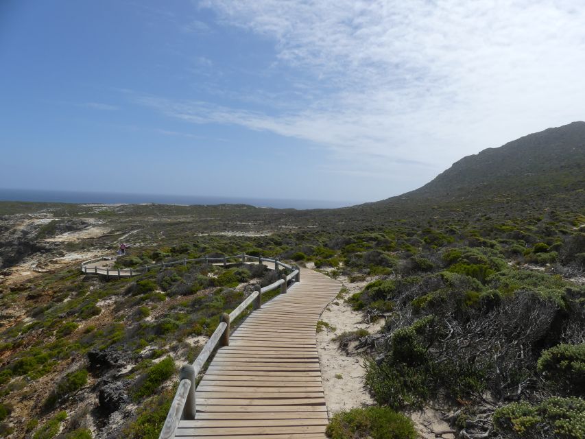Cape Peninsula Shared Half-Day Tour - Additional Information